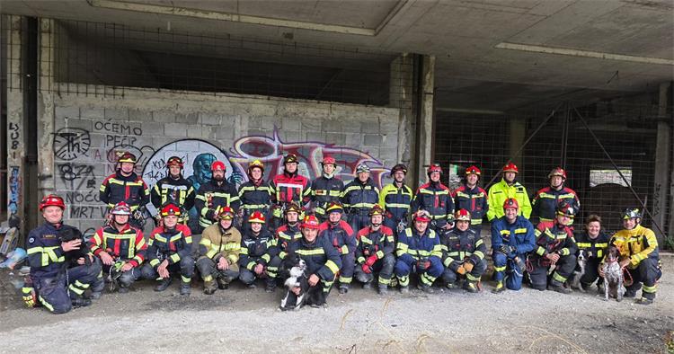 Slika /slike/Psi 10.jpg